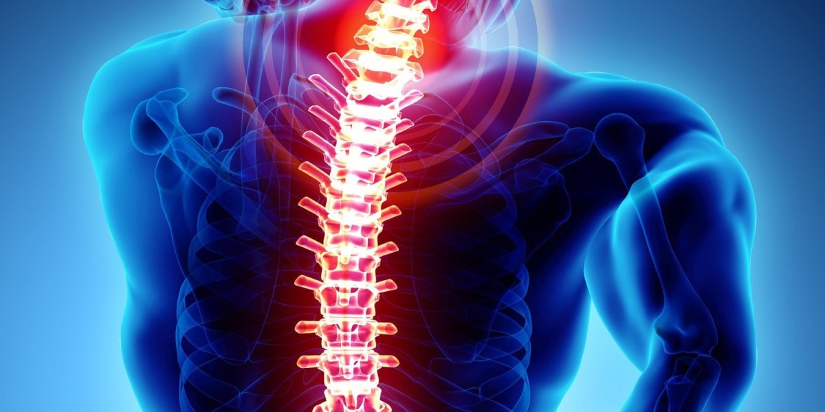 The Global Spinal Imaging Market is driven by growing demand for minimally invasive procedures