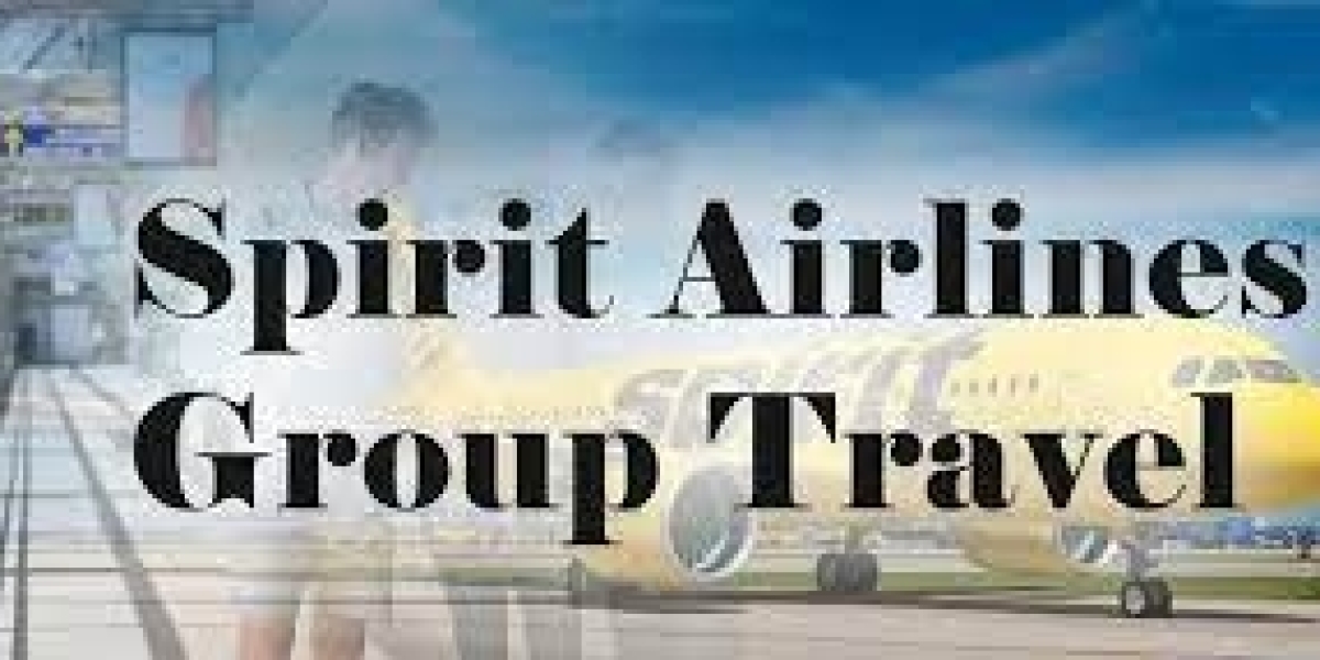 How can I make a group trip with Spirit Airlines?