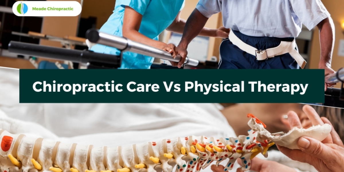 Exploring the Intersection of Neurology and Chiropractic Care: A Holistic Approach to Healing