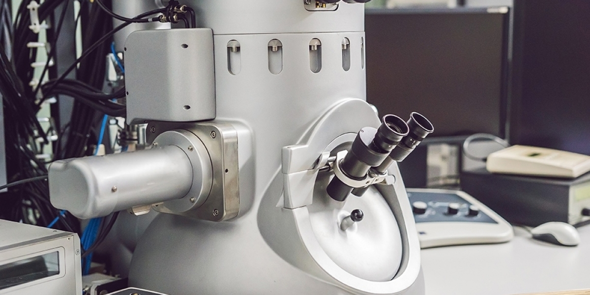 Unveiling Insights: The Evolving Landscape of the Global Electron Microscope Market