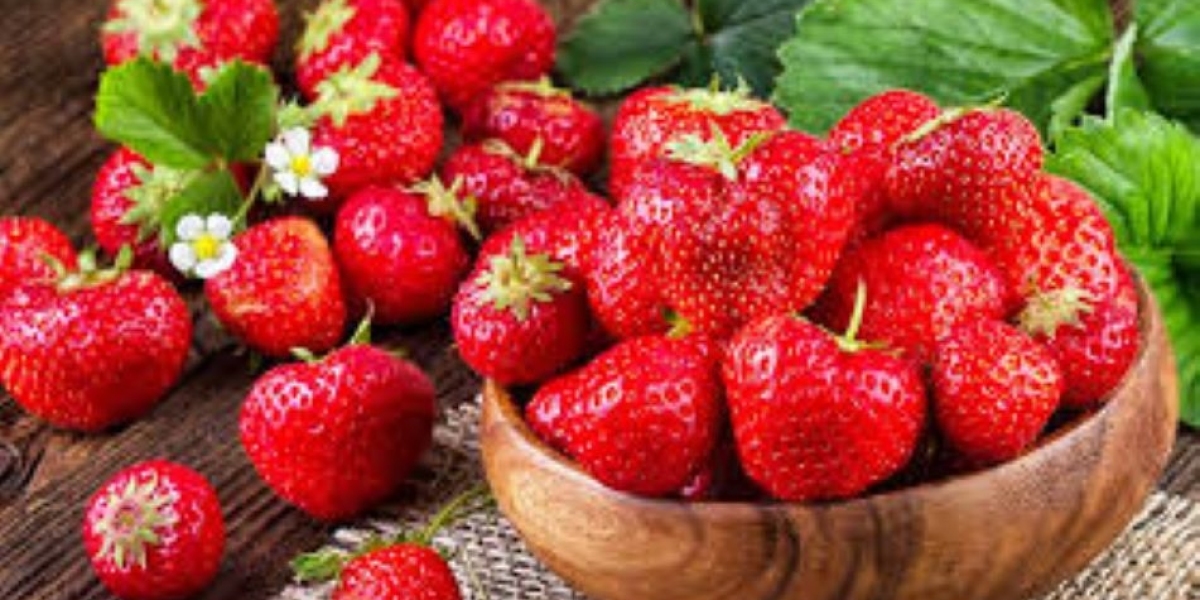 Strawberries Are Necessary For A Healthy Way Of Living.