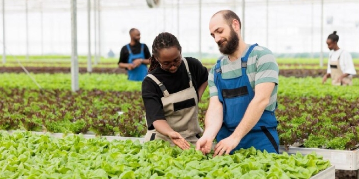 Bridging the Gap: The Urgent Need for Labor in Modern Farming