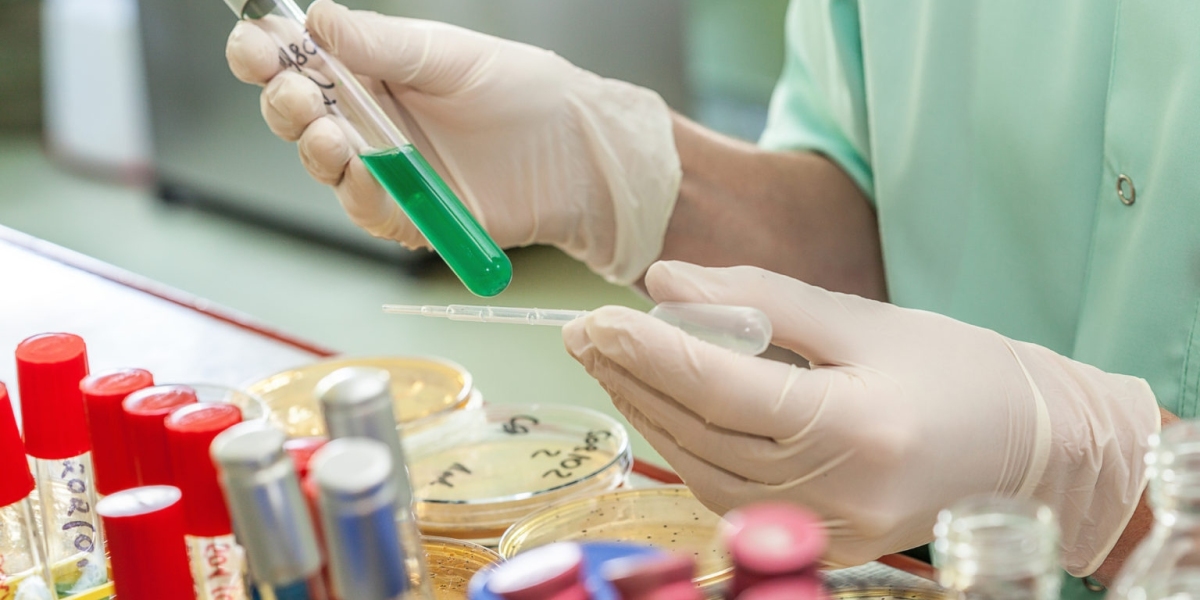 Safeguarding Public Health: The Role Of UK Drug For Abuse Testing Devices