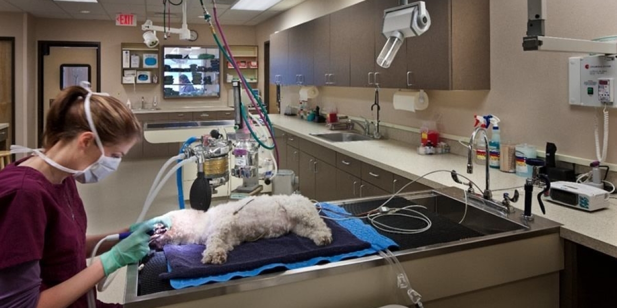 Veterinary Furniture Market: Trends and Market Dynamics