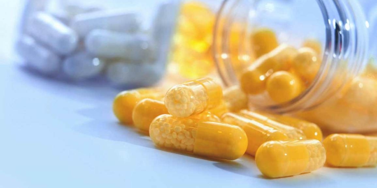 Elevating Digestive Health: Prebiotics for Effective Dietary Supplements
