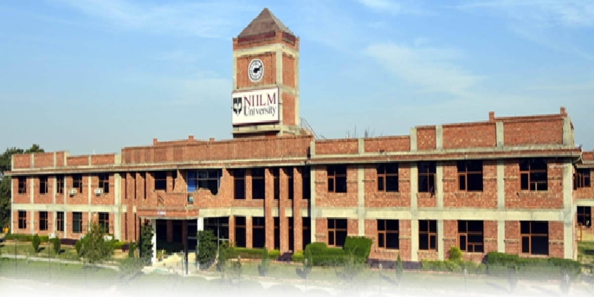 NIILM University Admission: Your Guide to Success