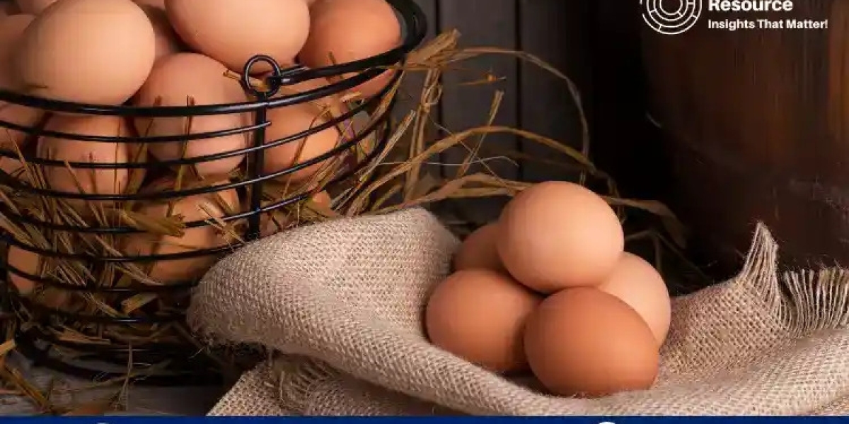 Eggs Production Cost Processes with Cost Analysis: A Comprehensive Overview
