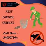 Pest Control Emerald