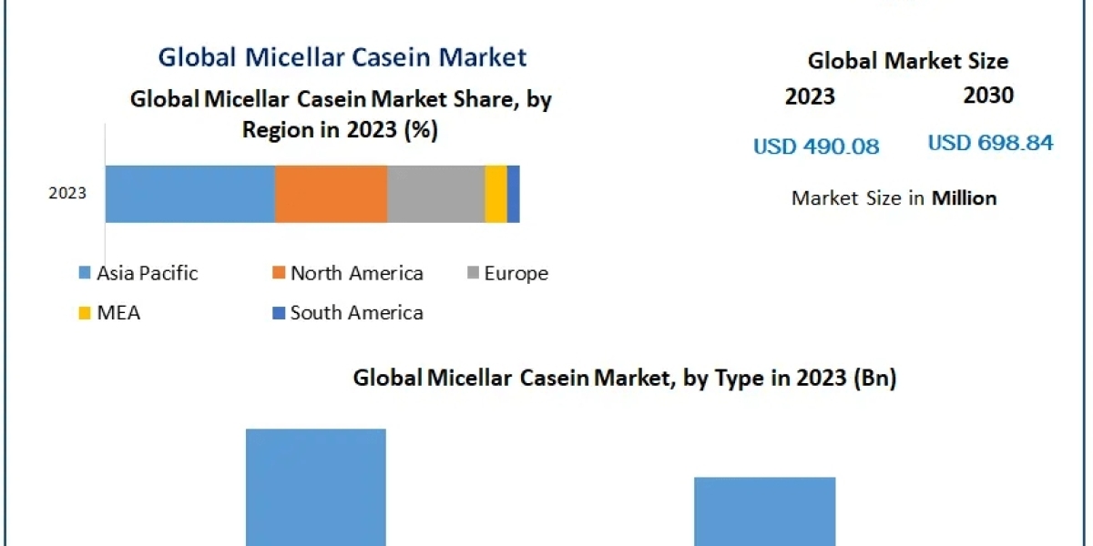 Market Expansion: Opportunities in the Micellar Casein Industry