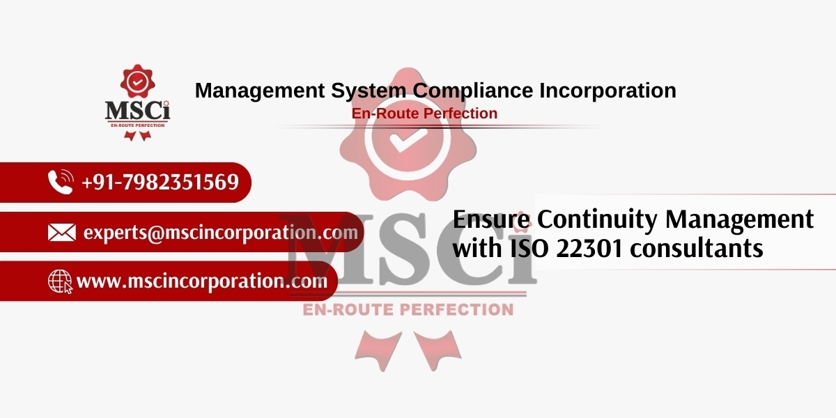 Ensure Continuity Management with ISO 22301 consultants
