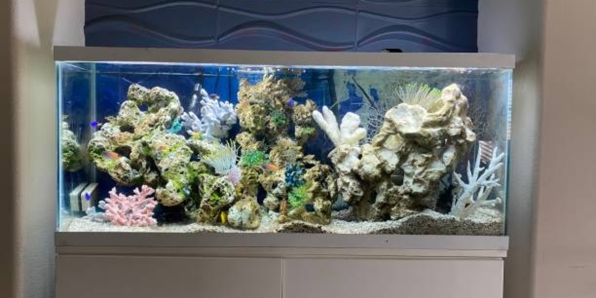 The Ultimate Guide to Saltwater Aquariums: Building Your Dream Reef Tank