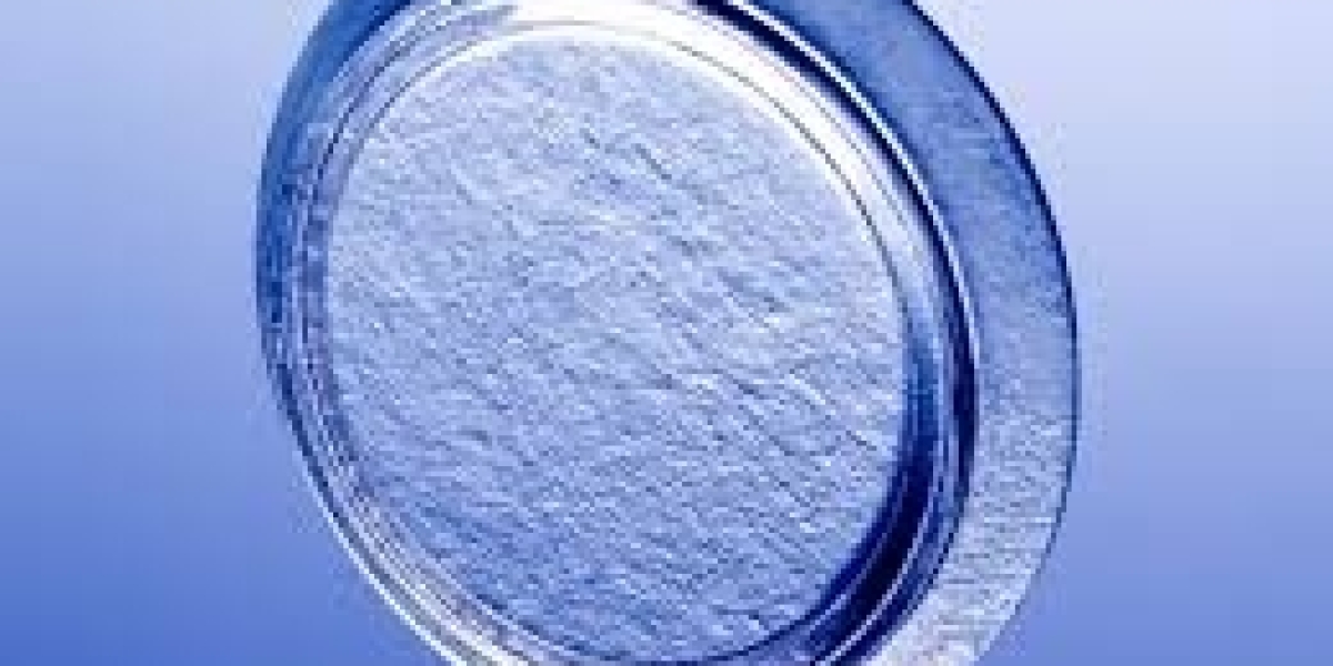 Amniotic Membrane Market: Global Market Trends and Regional Insights