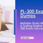 PL-300 Exam Dumps